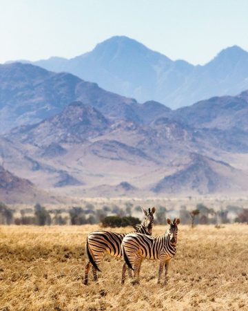 Ngorongoro Crater
