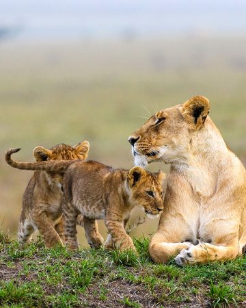 Serengeti National Park