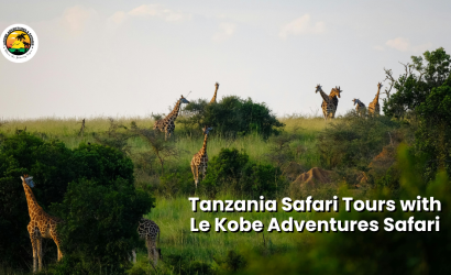 Tanzania Safari Tours with LeKobe Adventures Safari