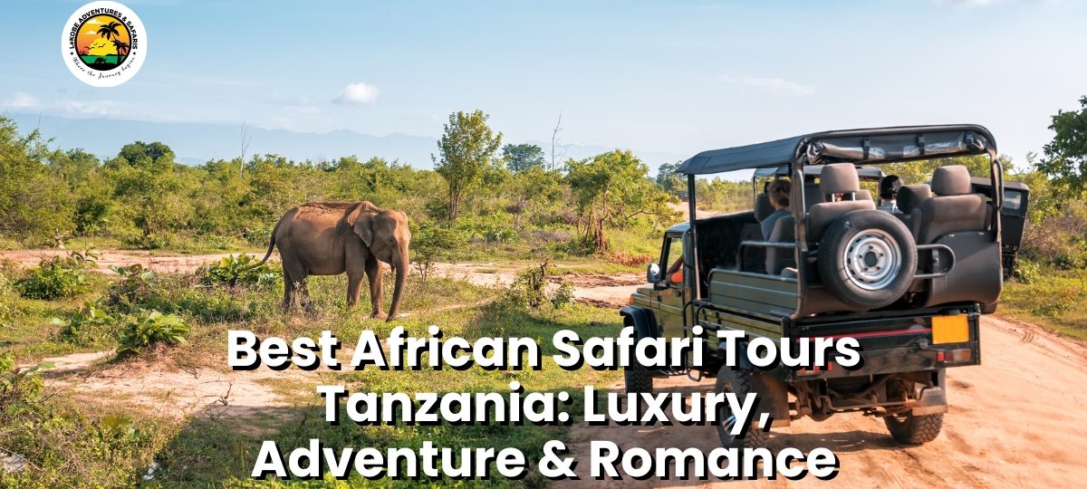 Best African Safari Tours Tanzania: Luxury, Adventure & Romance
