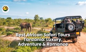 Best African Safari Tours Tanzania: Luxury, Adventure & Romance