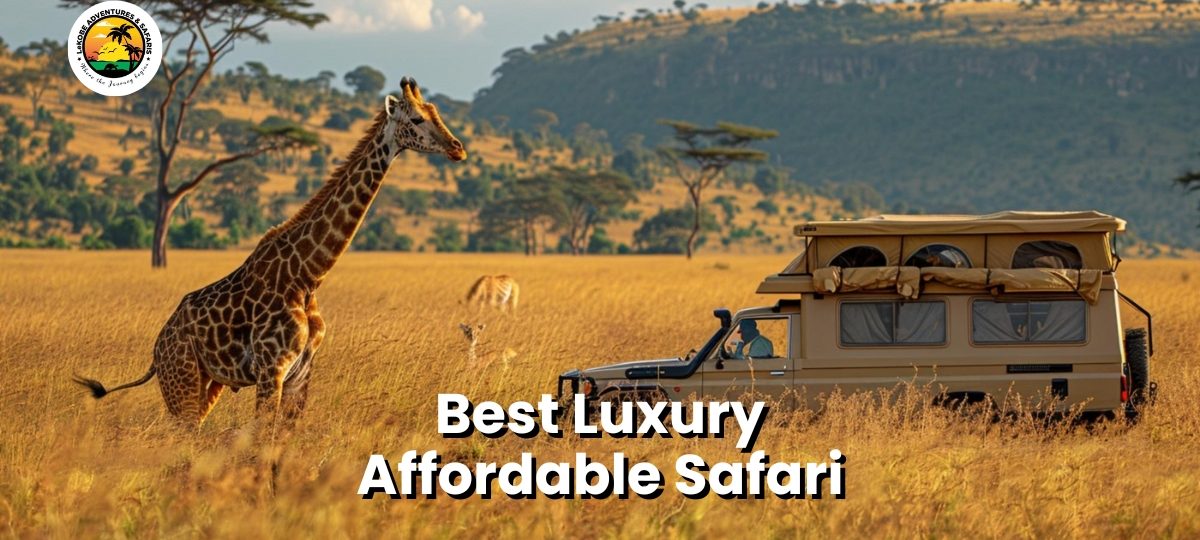 Best Luxury Affordable Safari: Discover the Ultimate African Adventure with Lekobe Adventures & Services