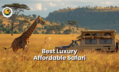 Best Luxury Affordable Safari: Discover the Ultimate African Adventure with Lekobe Adventures & Services
