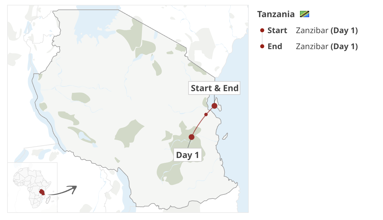 1-Day Nyerere NP Fly-in Private Safari from Zanzibar