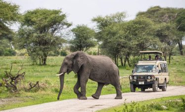 2-Day-Tarangire-Safari-from-Zanzibar-with-Arusha-Tour-11