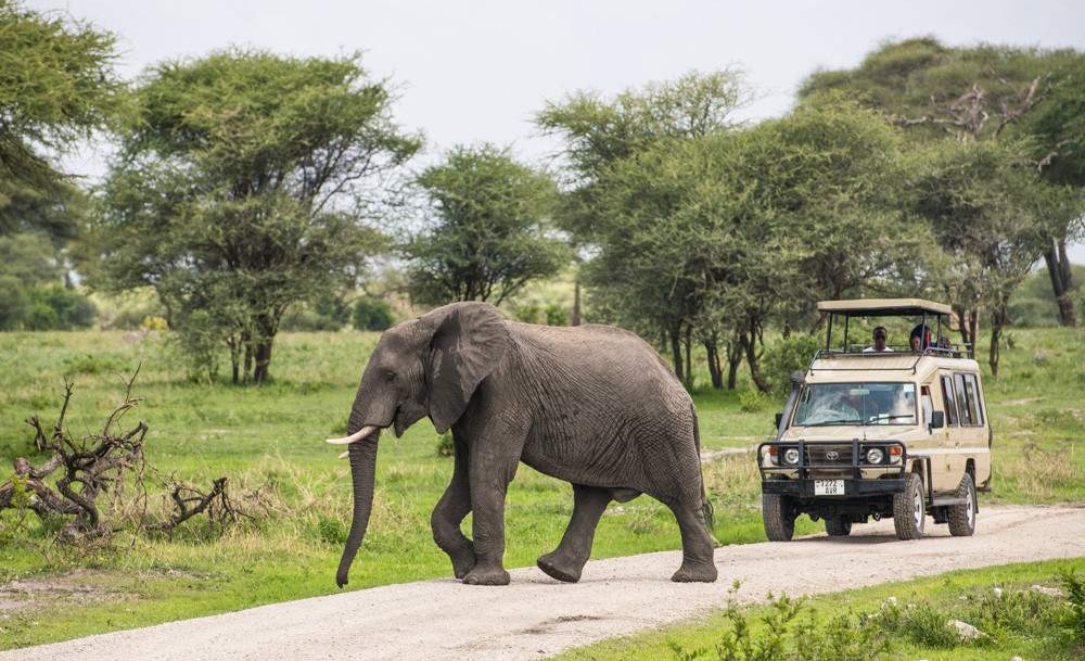 2-Day-Tarangire-Safari-from-Zanzibar-with-Arusha-Tour-11