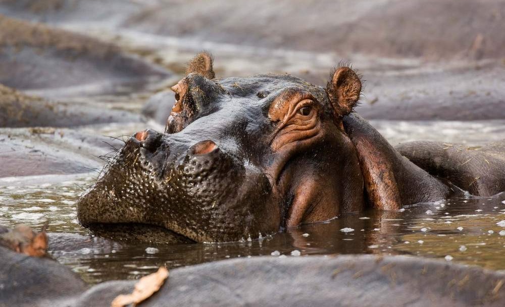 5-day-nyerere-mikumi-national-park-from-dar-04