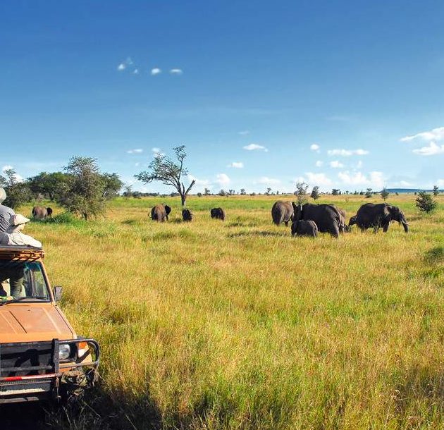 3-Day Mid Range Fly in Safari to Serengeti & Ngorongoro