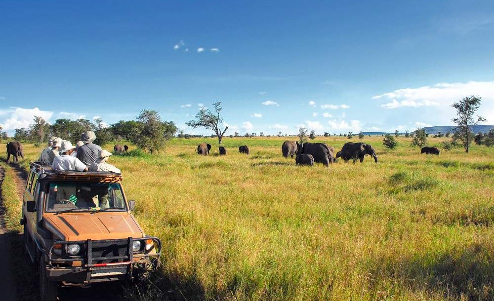 3-Day Mid Range Fly in Safari to Serengeti & Ngorongoro
