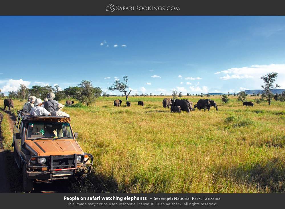 3-Day Mid Range Fly in Safari to Serengeti & Ngorongoro