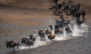 Serengeti_National_Park_136