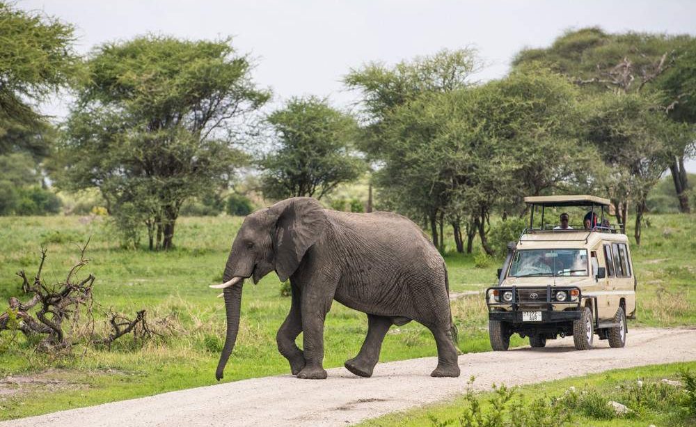 Tarangire_National_Park_050