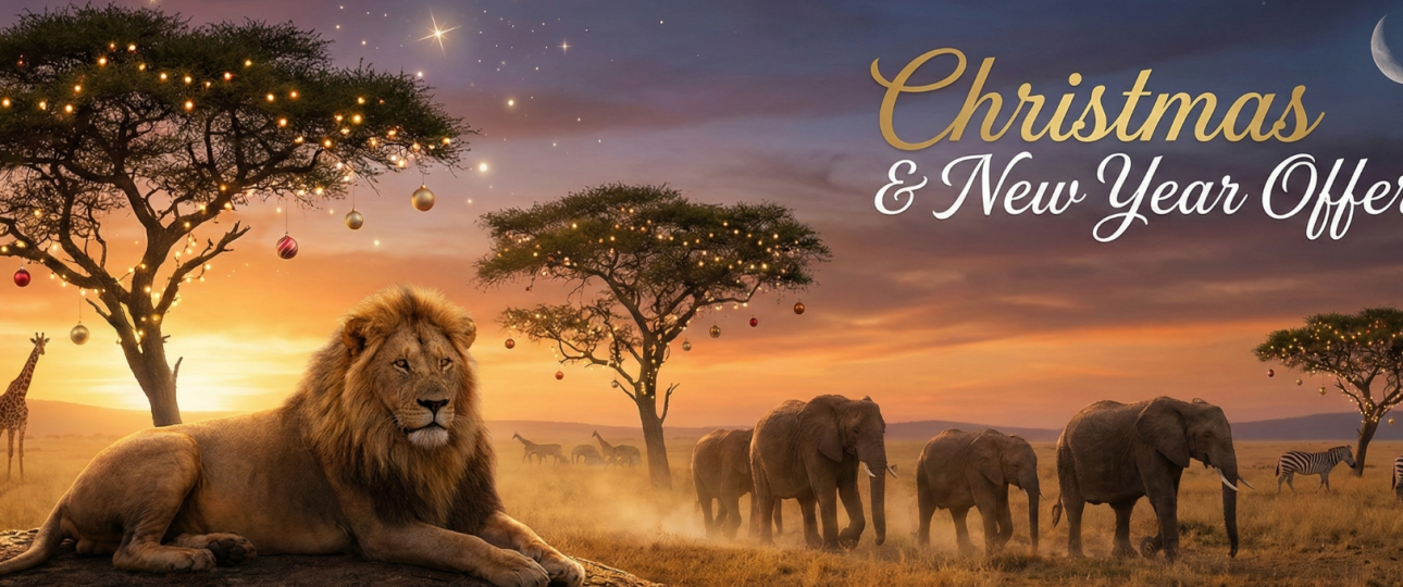 chritmas and new year (2)