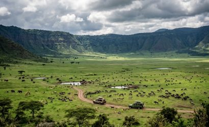 Safari vehicles on a game drive across the green floor of Ngorongoro Crater, Tanzania